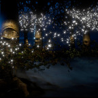 Where trees have eyes, miracles are not far away.