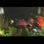 Mushrooms©1024x650