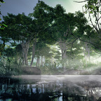 Summer morning by the Pond