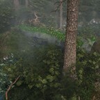 Blühen am Bächlein