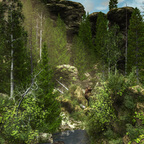 Wolfsschlucht V2