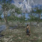 Wintergirl & Alte Weiden