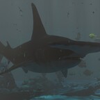 Under the sea