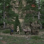 2025 11 Walddaemon Vlad C