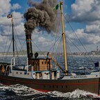 Albatros auf Kurierfahrt