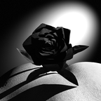 Black Rose III