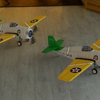 Wildcat