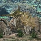 2025 7 Unterwasser Flora Fauna A