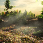 Spring in the forest clearing