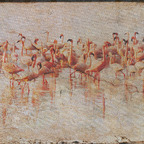 Grunged Flamingos