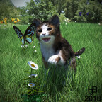 Junge Katze mit Schmetterling