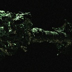 Vampirraumschiff aus "Lifeforce"