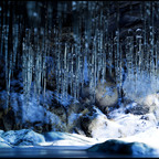 Icicles #1