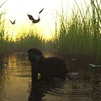 Begegnungen im Sonnenuntergang