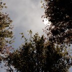 Herbstsonne