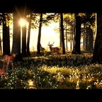 Frühling