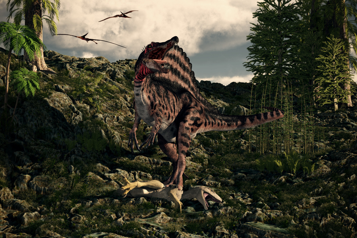 Spinosaurus-the catch